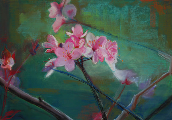 Heidi Hardin - Plum Blossoms/Valentine's Day 2010 #2 - 1:25 pm – One Blossom in Dark Grey Background