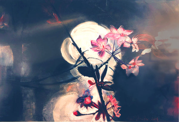 Heidi Hardin - Plum Blossoms/Valentine's Day 2010 #7 1:33 pm – White Blossoms Wide Open with One Looking up